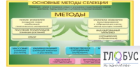Стенд "Методы селекции и биотехнологии" - «globural.ru» - Астрахань