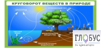Стенд "Круговорот веществ" - «globural.ru» - Астрахань
