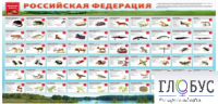 Стенд "Красная книга РФ" - «globural.ru» - Астрахань