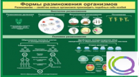 Стенд "Формы размножения организмов" - «globural.ru» - Астрахань