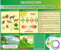 Стенд "Экология. Организация и функционирование сообществ" - «globural.ru» - Астрахань