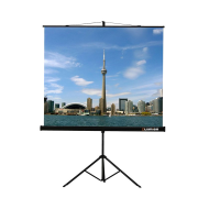 Проекционный экран на штативе Lumien Eco View (LEV-100105) 160x160 см - «globural.ru» - Астрахань