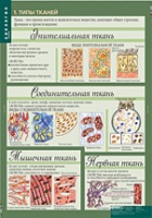 Биология 8-9 класс. Человек. (комплект таблиц) - «globural.ru» - Астрахань