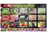 Комплект оборудования "Живой уголок" (растения) с тифлопереводом и сурдокомментариями - «globural.ru» - Астрахань