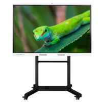 Интерактивный комплекс Geckotouch ​​​​​​​86RK - «globural.ru» - Астрахань
