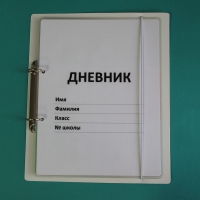 Дневник школьника (с полным набором карточек) - «globural.ru» - Астрахань