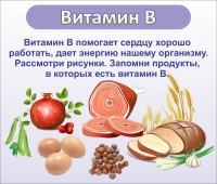 Стенд "Витамин В" - «globural.ru» - Астрахань