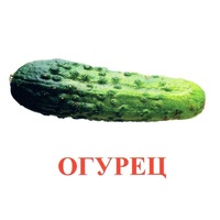 Карточки Домана "Овощи-Зелень-1" - «globural.ru» - Астрахань