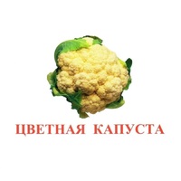 Карточки Домана "Овощи-Зелень-2" - «globural.ru» - Астрахань