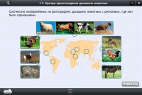 Интерактивные курсы. Биология 7 класс. Расширенный - «globural.ru» - Астрахань