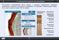 Интерактивные курсы. Биология 5 класс. Базовый  - «globural.ru» - Астрахань