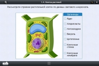 Интерактивные курсы. Биология 9 класс. Расширенный - «globural.ru» - Астрахань
