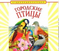 CD "Аудиоэнциклопедия. Городские птицы" - «globural.ru» - Астрахань