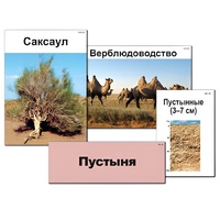 Модель-аппликация "Природные зоны России" - «globural.ru» - Астрахань