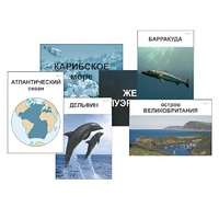 Модель-аппликация "Океаны. Знакомство" (ламинированная) - «globural.ru» - Астрахань