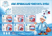 Стенд "Как правильно чистить зубы" - «globural.ru» - Астрахань