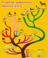 Стенд "Развитие животного мира на земле" - «globural.ru» - Астрахань