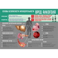 Стенд "Алкоголь" - «globural.ru» - Астрахань