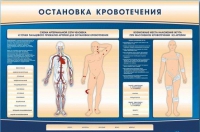 Электрифицированный стенд-тренажер "Остановка кровотечения" - «globural.ru» - Астрахань