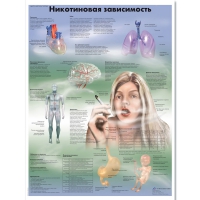 Плакат "Никотиновая зависимость", ламинированный, 50*67 см - «globural.ru» - Астрахань