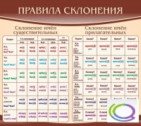 Стенд "Правила склонения" - «globural.ru» - Астрахань