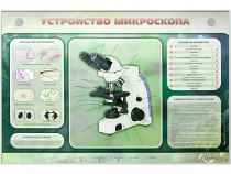 Электрифицированный стенд "Устройство микроскопа и правила работы c ним" - «globural.ru» - Астрахань
