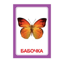 Логопедка "Ч" (логопедические карточки) - «globural.ru» - Астрахань