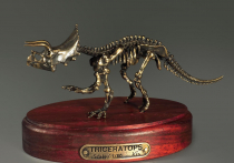 Модель скелета динозавра Triceratops - «globural.ru» - Астрахань