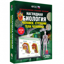 Наглядная биология. Человек. Строение тела человека - «globural.ru» - Астрахань