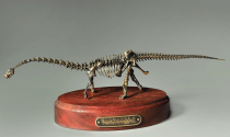Модель скелета динозавра Diplodocus  (вариант 2) - «globural.ru» - Астрахань