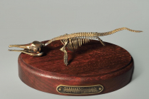 Модель скелета ихтиозавра Ichthyosaurus - «globural.ru» - Астрахань