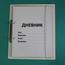 Дневник школьника (с полным набором карточек) - «globural.ru» - Астрахань