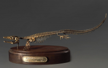 Модель скелета мозазавра Mosasaurus - «globural.ru» - Астрахань
