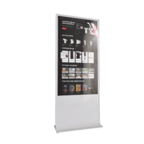 Интерактивный сенсорный киоск Nova 65" - «globural.ru» - Астрахань