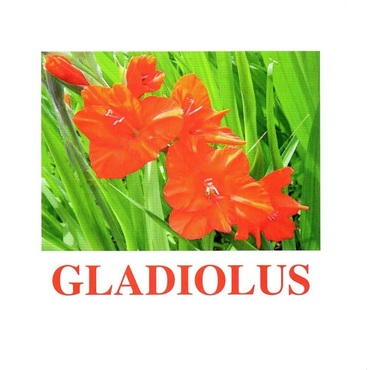 "Flowers-1" ("Цветы-1") английские карточки Домана - «globural.ru» - Астрахань