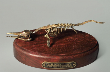 Модель скелета ихтиозавра Ichthyosaurus - «globural.ru» - Астрахань