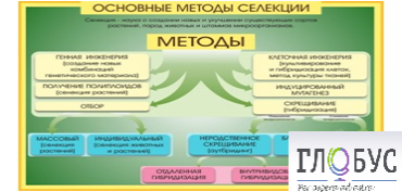 Стенд "Методы селекции и биотехнологии" - «globural.ru» - Астрахань