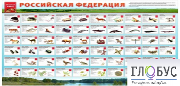 Стенд "Красная книга РФ" - «globural.ru» - Астрахань