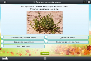 Интерактивные курсы. Окружающий мир 3 класс. Базовый - «globural.ru» - Астрахань