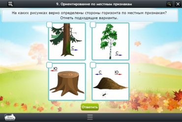 Интерактивные курсы. Окружающий мир 1 класс. Базовый - «globural.ru» - Астрахань