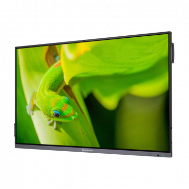 Интерактивный программно-аппаратный комплекс Geckotouch Interactive IP75GT-C в комплекте с настенным креплением - «globural.ru» - Астрахань