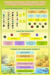 Стенд "Классификация животного мира" - «globural.ru» - Астрахань